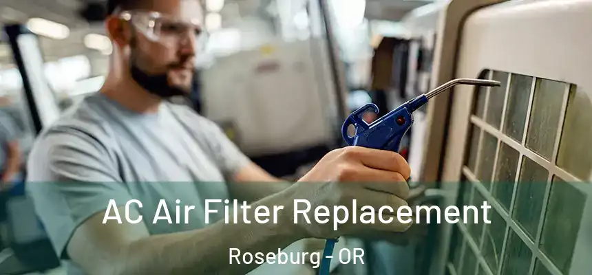  AC Air Filter Replacement Roseburg - OR