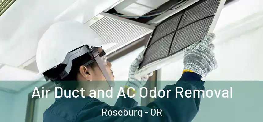  Air Duct and AC Odor Removal Roseburg - OR