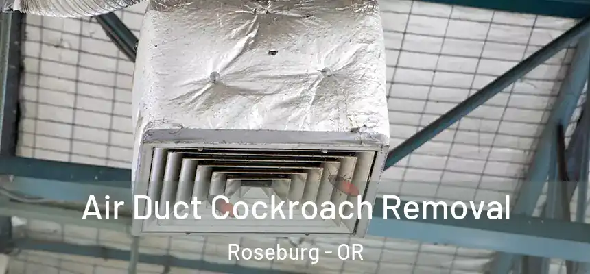  Air Duct Cockroach Removal Roseburg - OR