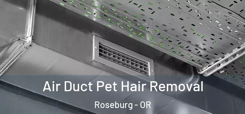  Air Duct Pet Hair Removal Roseburg - OR