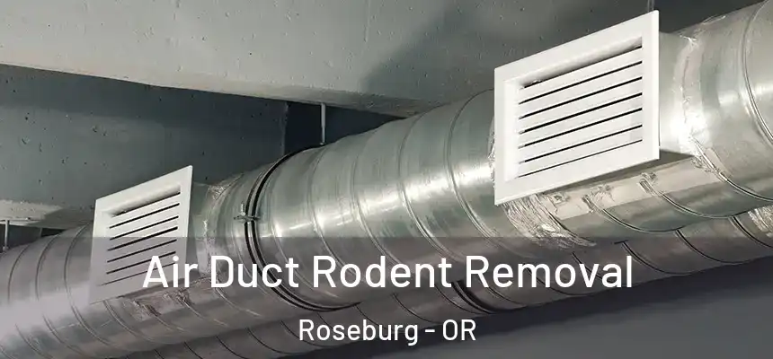  Air Duct Rodent Removal Roseburg - OR