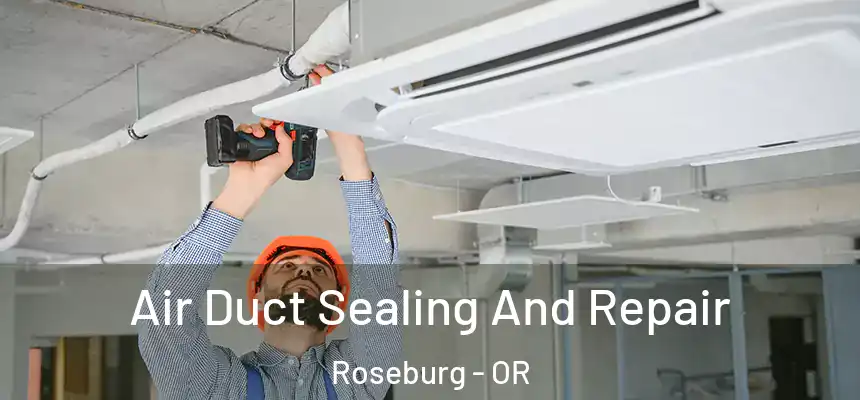  Air Duct Sealing And Repair Roseburg - OR
