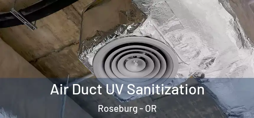  Air Duct UV Sanitization Roseburg - OR