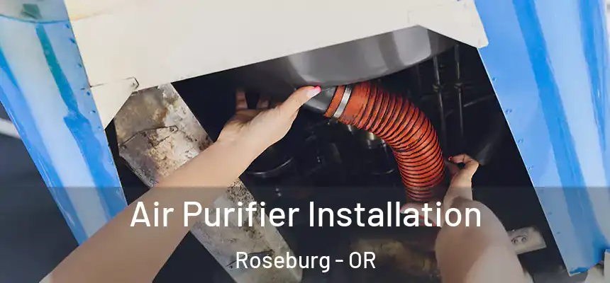  Air Purifier Installation Roseburg - OR
