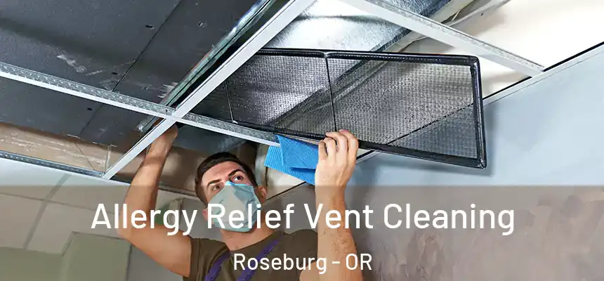  Allergy Relief Vent Cleaning Roseburg - OR