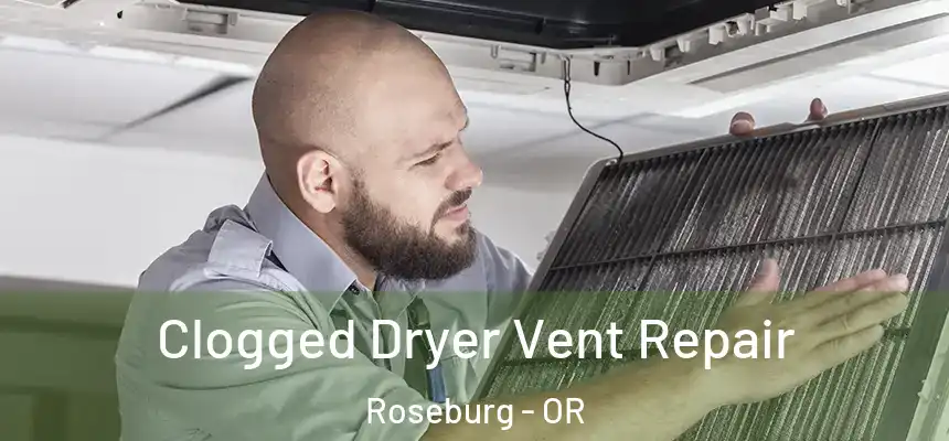  Clogged Dryer Vent Repair Roseburg - OR