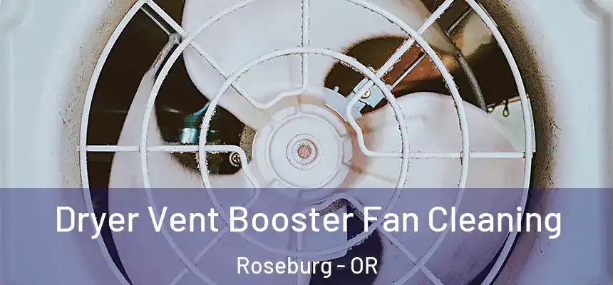  Dryer Vent Booster Fan Cleaning Roseburg - OR