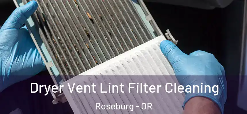  Dryer Vent Lint Filter Cleaning Roseburg - OR