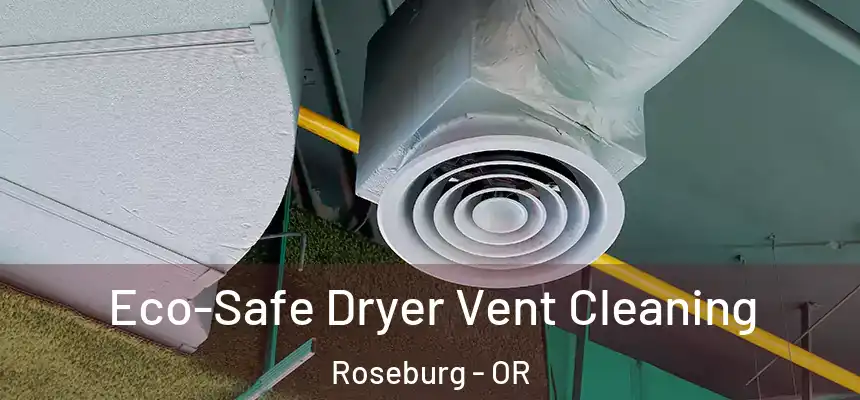Eco-Safe Dryer Vent Cleaning Roseburg - OR