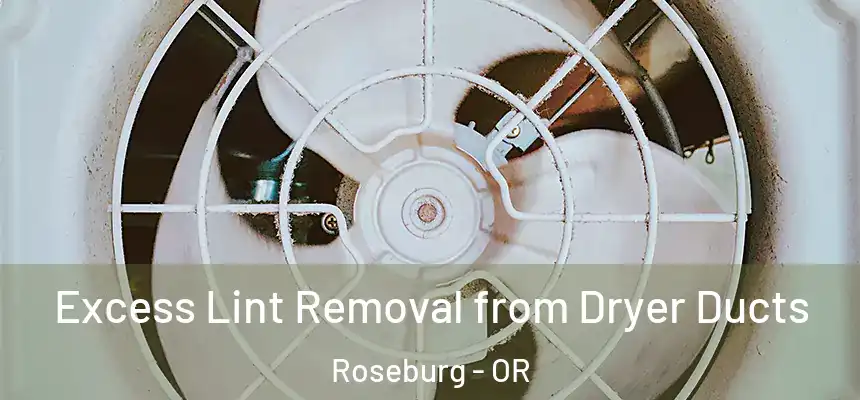  Excess Lint Removal from Dryer Ducts Roseburg - OR