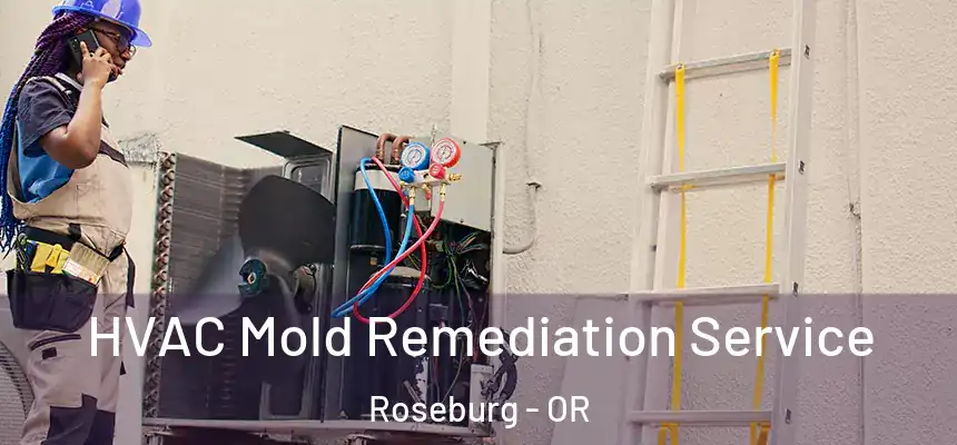  HVAC Mold Remediation Service Roseburg - OR