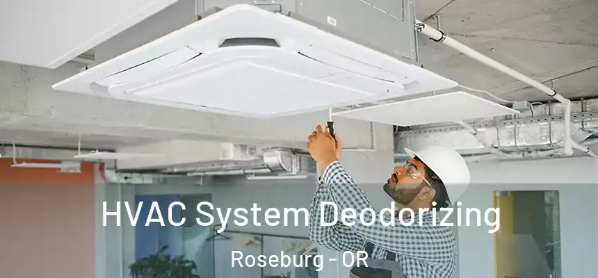 HVAC System Deodorizing Roseburg - OR