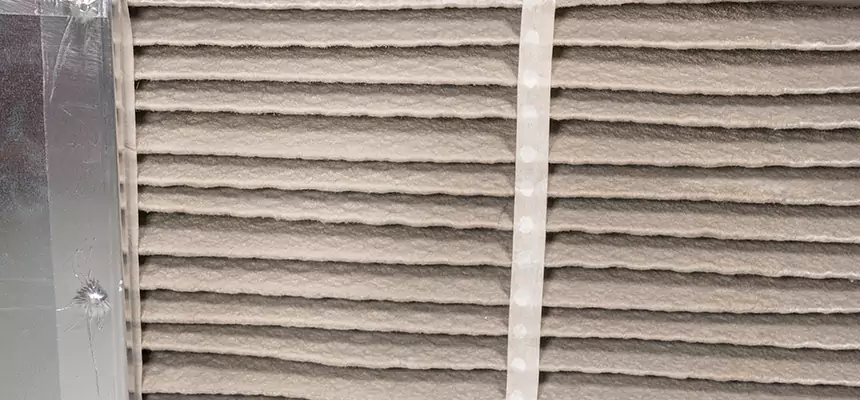 Mobile Car AC Filter Replacement in Roseburg