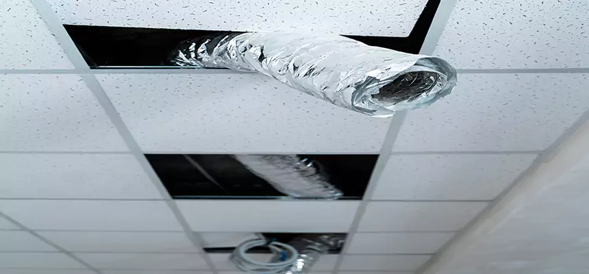 Our Air Duct Pet Hair Removal Services in Roseburg, OR