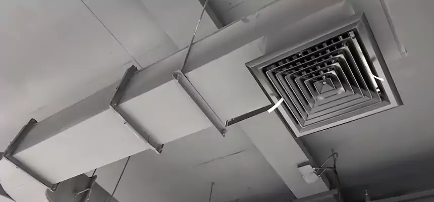 Restorative Allergy Relief Vent Cleaning – Coil, Blower & Housing Detail in Roseburg