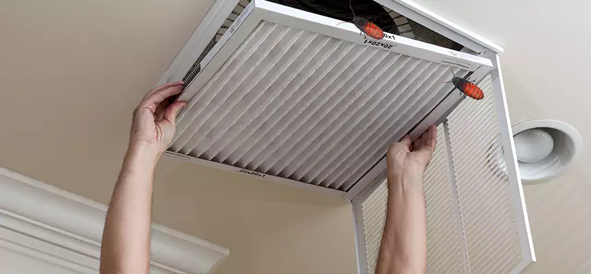 Our Insect Removal from Air Ducts Services in Roseburg, OR