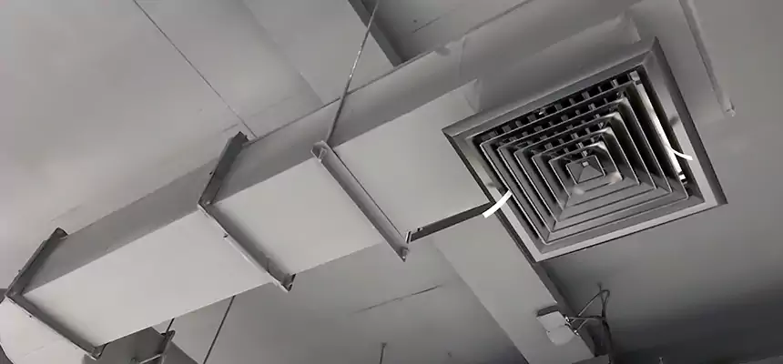 Our Pest Removal From Ducts Services in Roseburg, OR