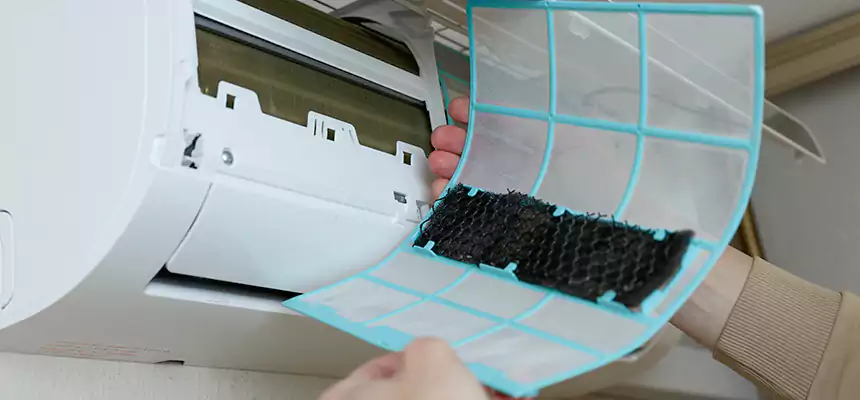 Gentle Ductwork Odor-Control Pet Dander Duct Cleaning in Roseburg, OR