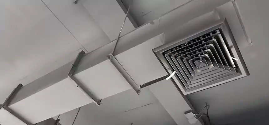 Our Rodent Droppings In Vents Services in Roseburg, OR