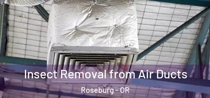 Insect Removal from Air Ducts Roseburg - OR