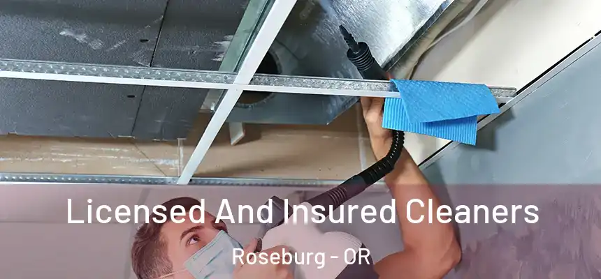 Licensed And Insured Cleaners Roseburg - OR