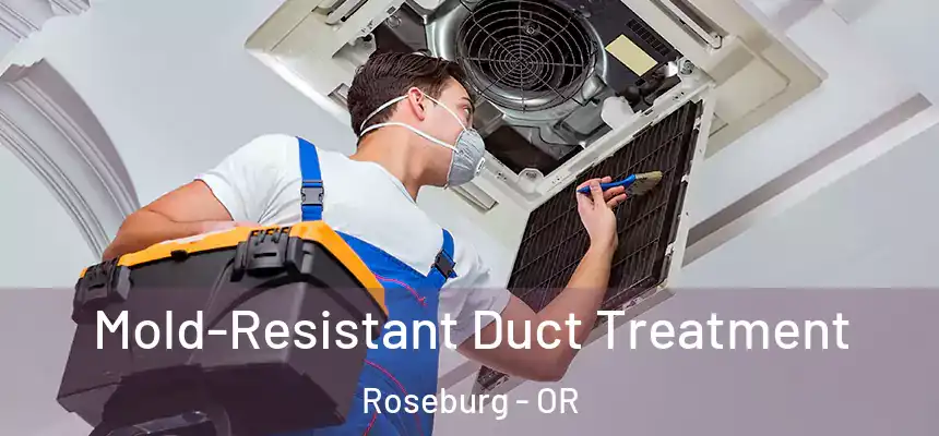  Mold-Resistant Duct Treatment Roseburg - OR