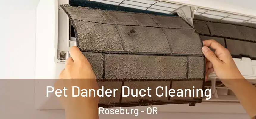  Pet Dander Duct Cleaning Roseburg - OR