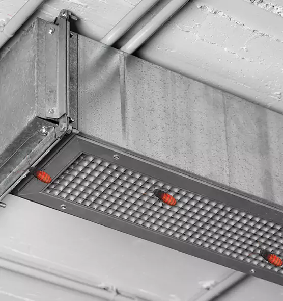 About Air Duct Cockroach Removal in Roseburg, OR