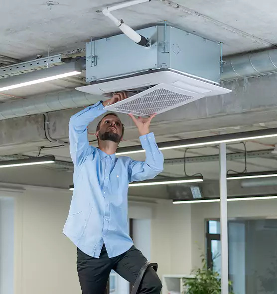 Advanced Rodent Droppings In Vents in Roseburg, OR