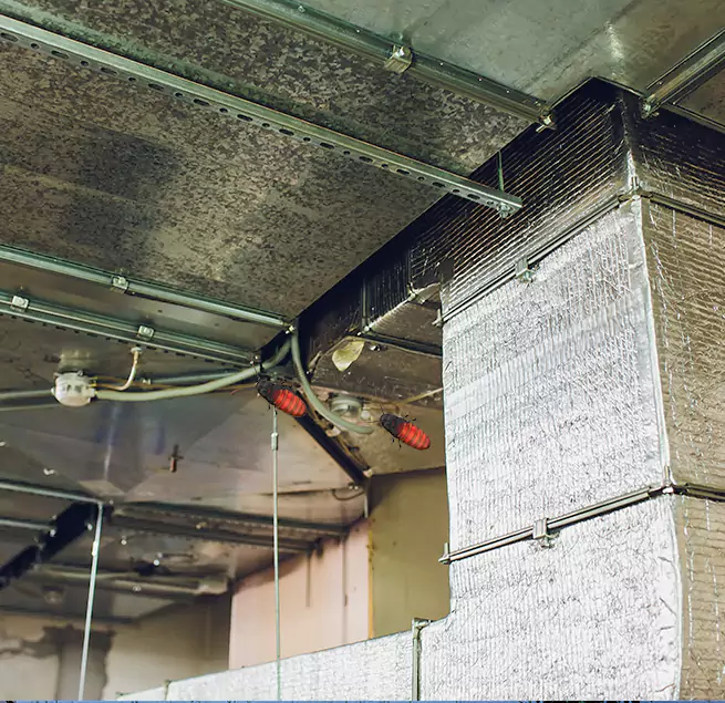 Why Homeowners & Businesses Trust Us Roseburg, OR?