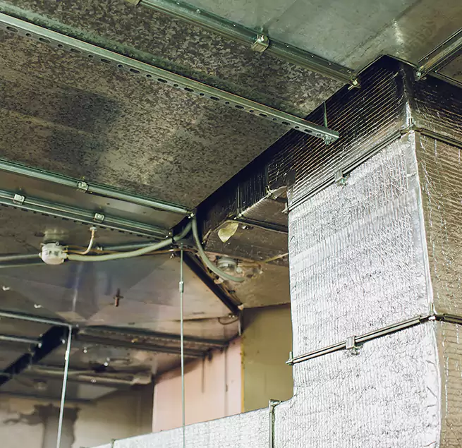 Why Homeowners & Businesses Trust Us in Roseburg, OR?