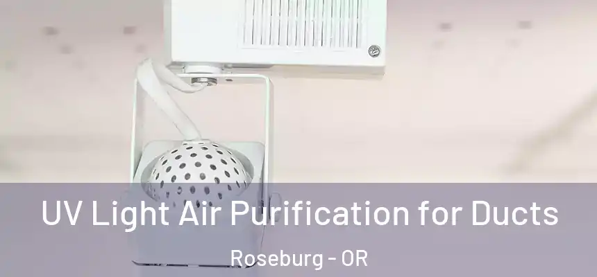  UV Light Air Purification for Ducts Roseburg - OR
