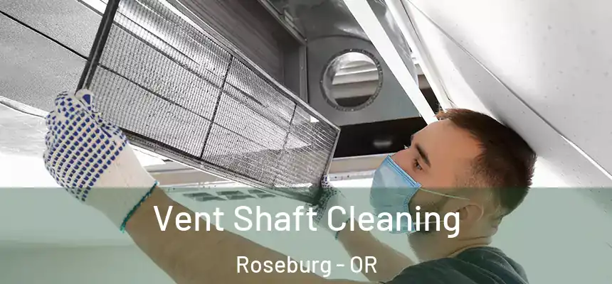 Vent Shaft Cleaning Roseburg - OR
